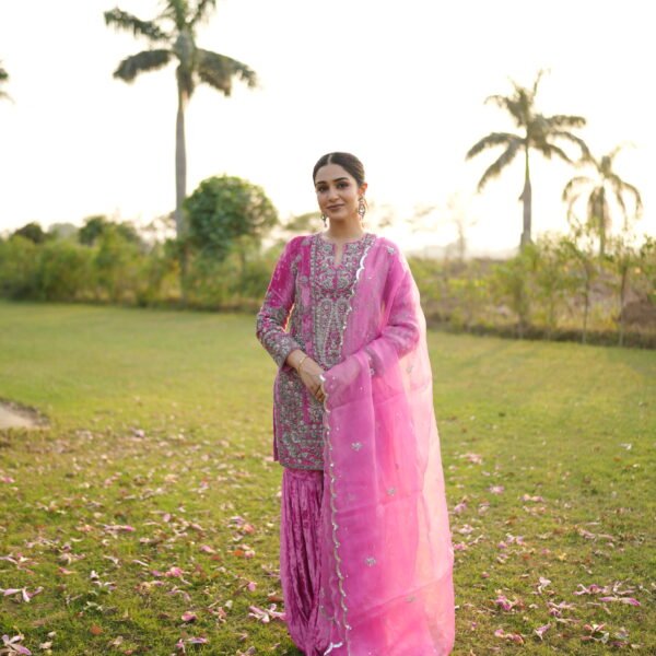 Aariza – Velvet Royale Handwork Ensemble